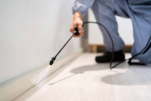 Bed Bug Pre-Treatment Preparation Assessment in Coleytown
