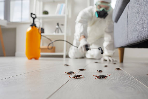 Post-Treatment Bed Bug Interceptor Monitoring in Coleytown