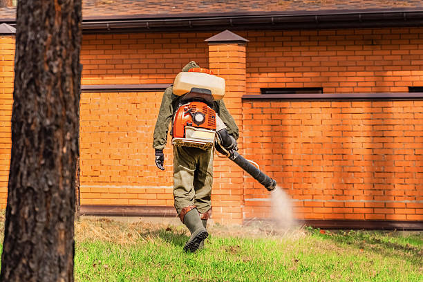 Bed Bug Clearance Verification and Documentation in Coleytown